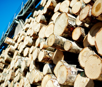 Wood Import and Export